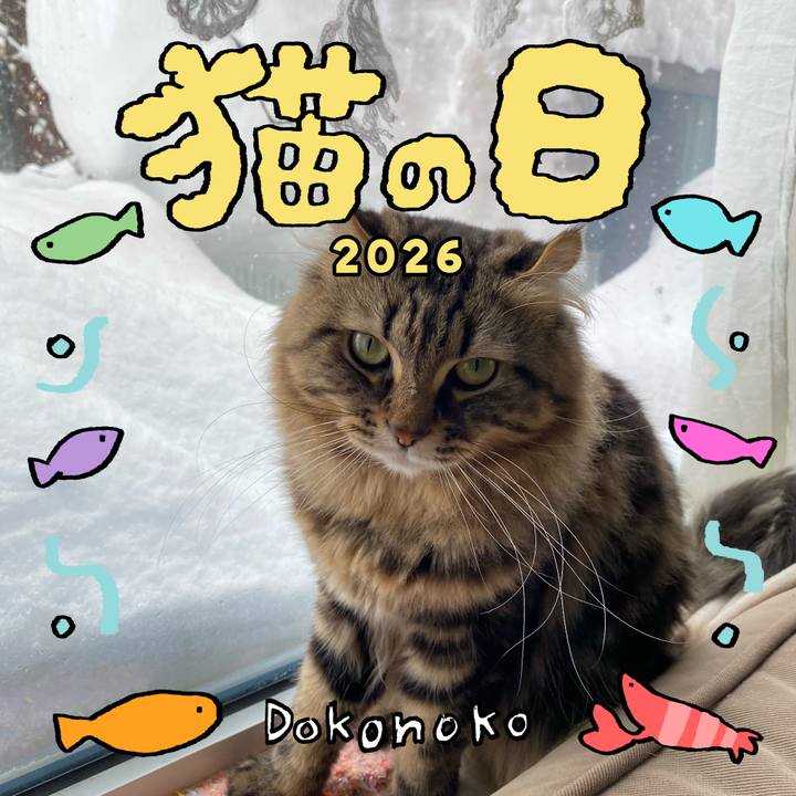 3b83d821 11fb 4ca7 bb92 3685f9769939 1771774998163