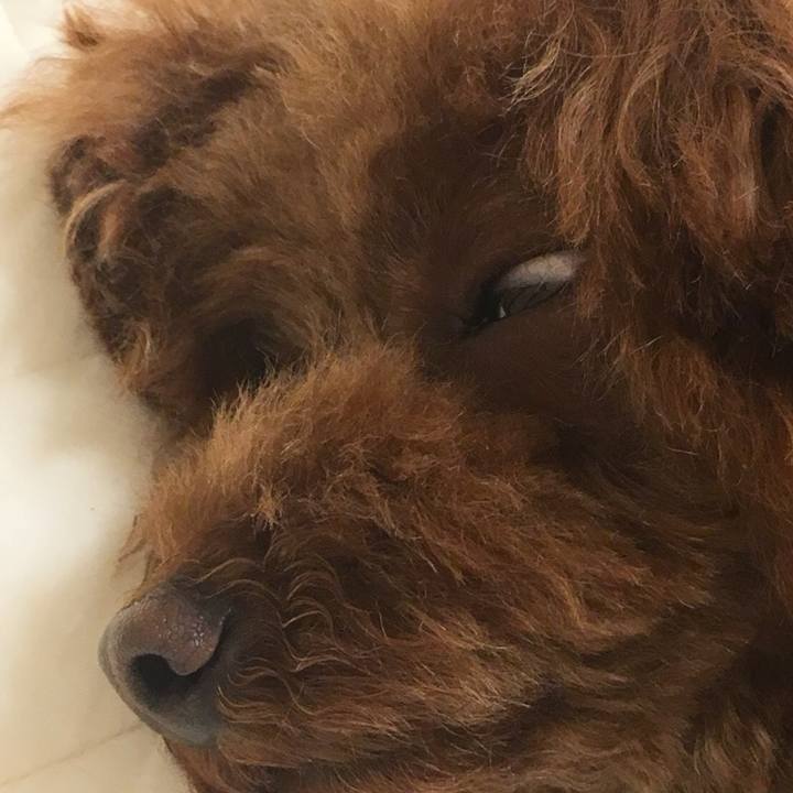 3b83e653 b9ba 42cb aefe 23e1a3e78947 1530012625764