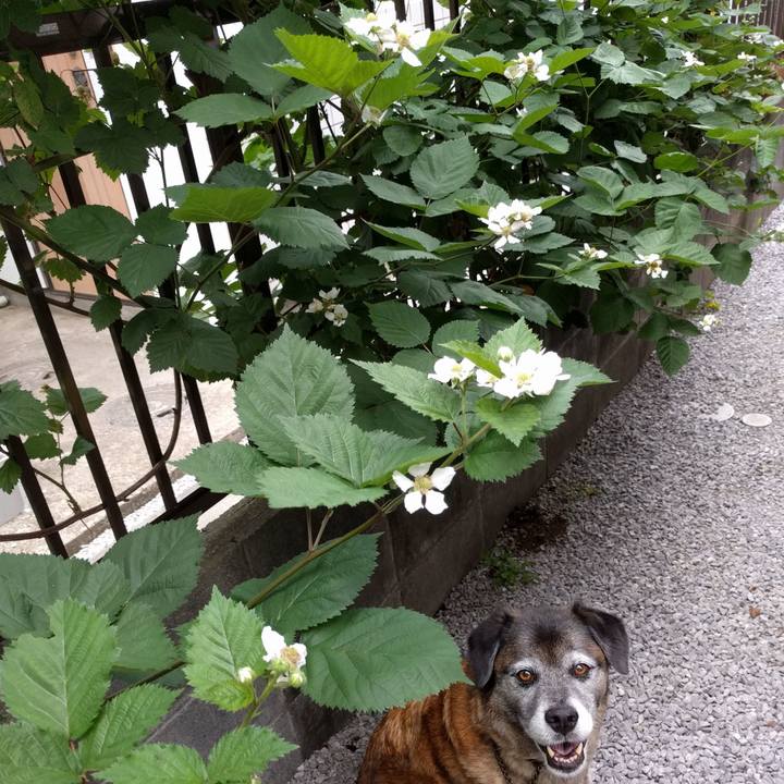 3b83fccf 92bb 4936 aa2b bd22e502c260 1526771933219