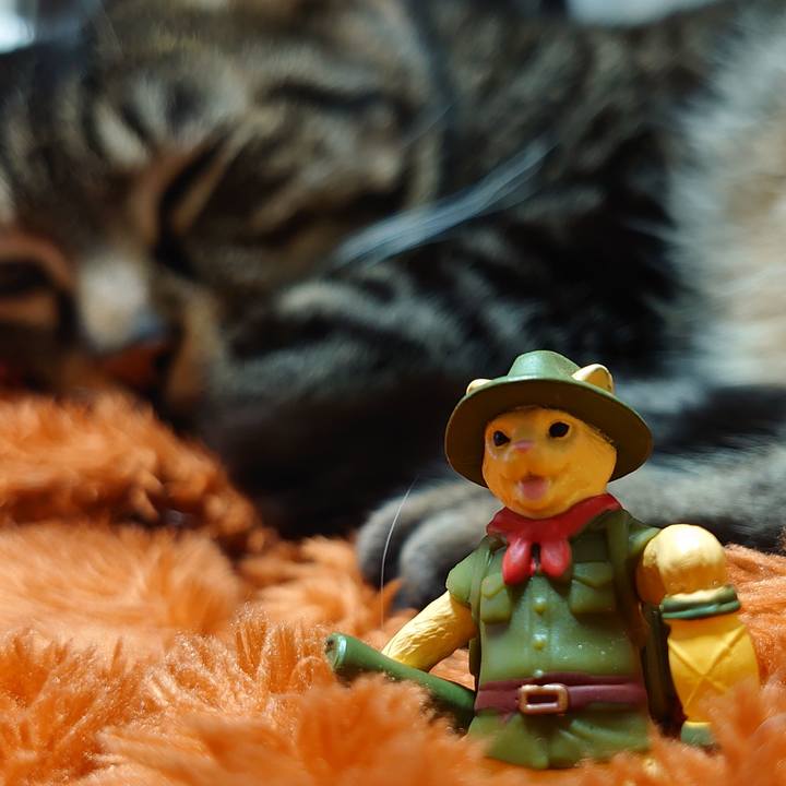 3b8411ab bee8 4d89 af7f ec1014cfbbcc 1645618286087