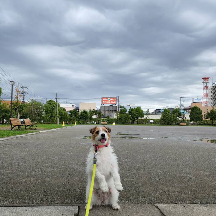 3b842d21 abfd 4a0d a17d 4672f5c5736c 1658017208131