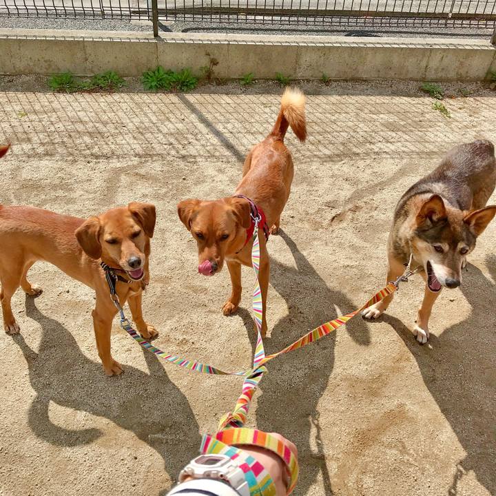 3b845098 5bf4 4a94 bda6 435d294e6da8 1523064935634