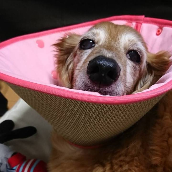 3b84cd79 8e8a 433d 8415 fcfb4d9fcc6d 1685898829760