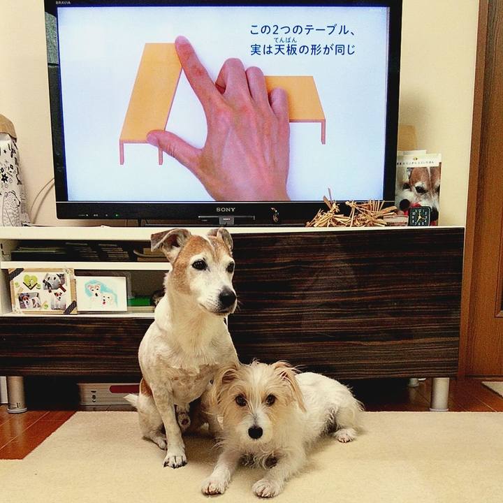 3b84da36 20cb 47e9 9c19 a3b8a412f2e9 1585607245052