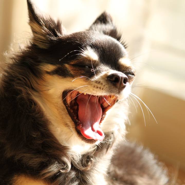 3b850034 060c 4f9f b494 37dfb077f6a7 1539519047460