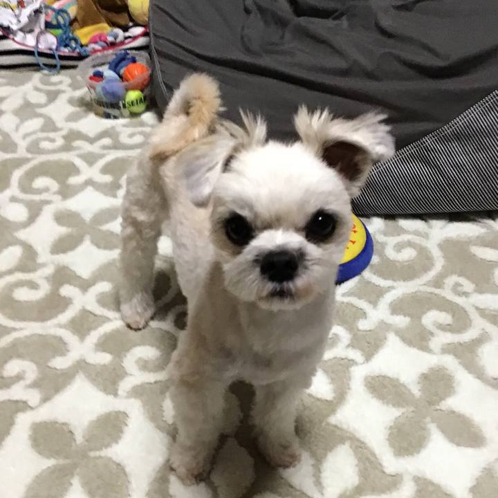 3b852db2 d391 48d5 8664 3caf38fb1239 1541331479158