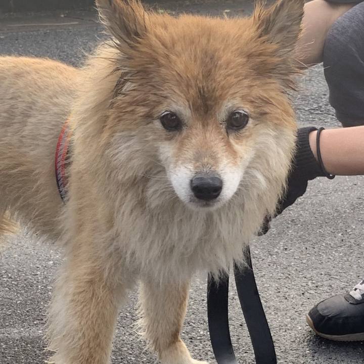 3b85752b 94cc 4765 952e 2637ed60c069 1654244798873