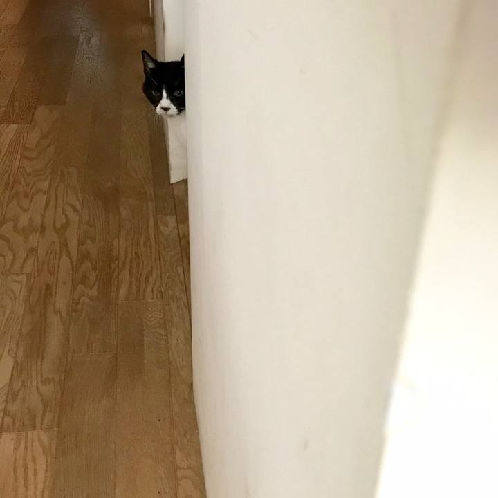 3b85a0bd 66f1 49f4 aad7 2825862177f6 1559868206957