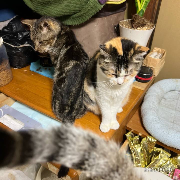 3b85b56e 1dca 49f6 b257 755dc57ab113 1750889128329