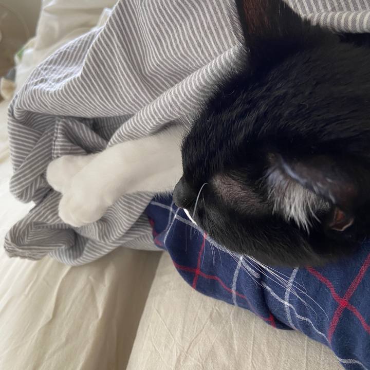 3b85c965 de9c 4ea0 8c11 b7f8b5082559 1601970652864