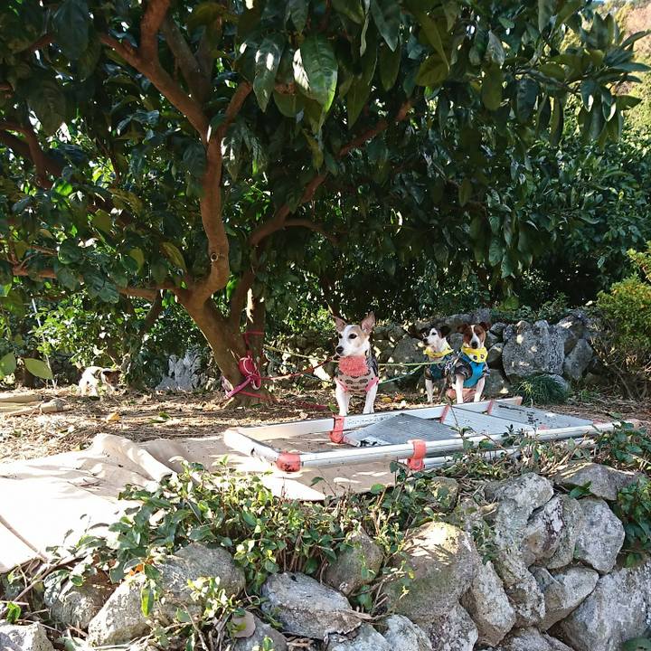 3b85d285 67dc 4724 9baa 96b1a09ec781 1576385302066