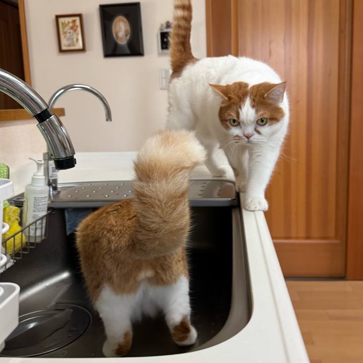 3b85e2ee bf64 4a7f 8ca5 8b7ebc18d9c3 1766629768022