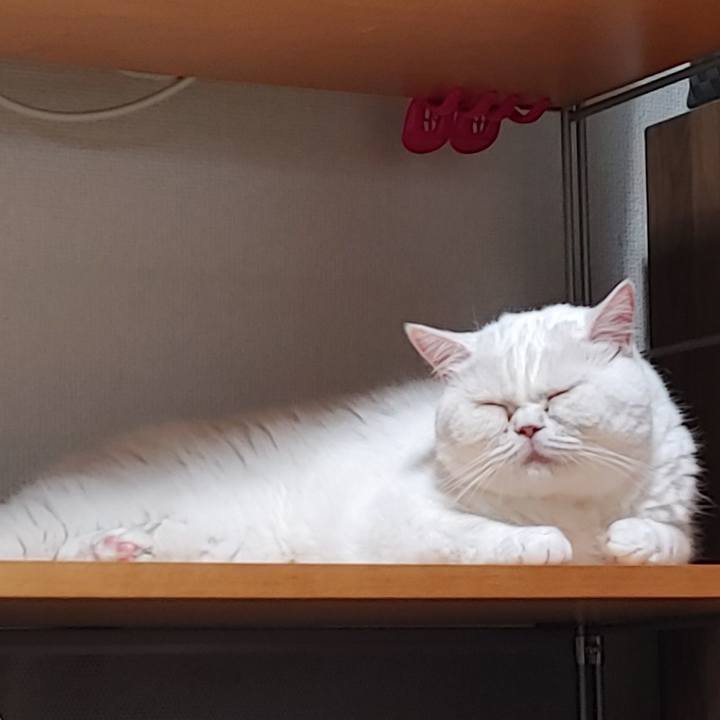 3b862151 48f1 4f09 b09e e336ca128286 1629724411652