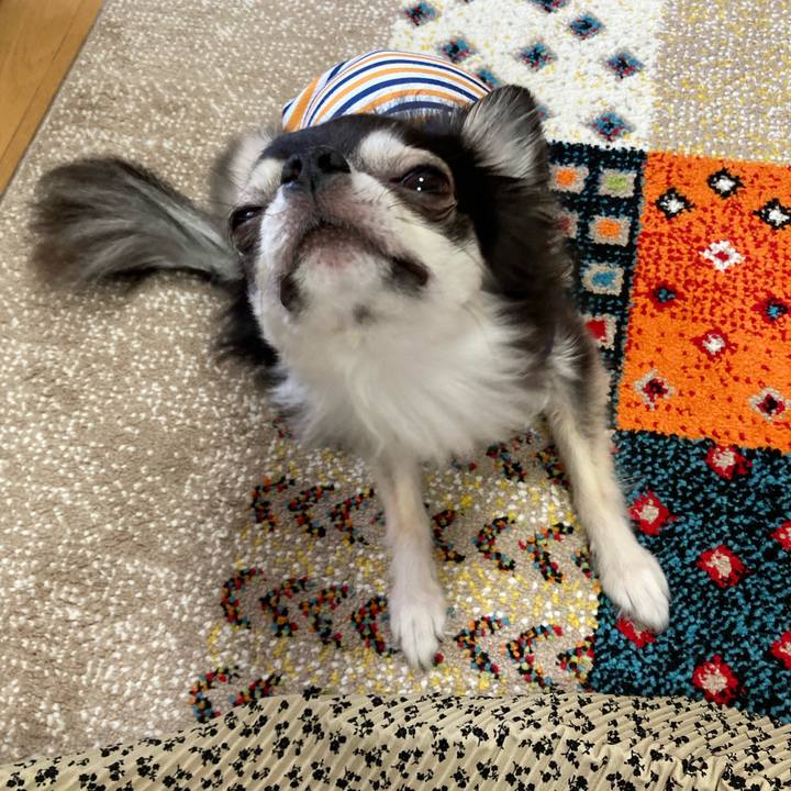 3b862d9c e868 42a7 9b7f 4b1532c58b42 1696085256693