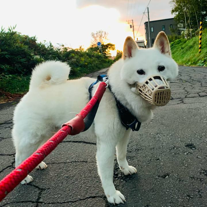 3b8645b9 6d66 486b 938f ef0b4425e2c9 1664916956965