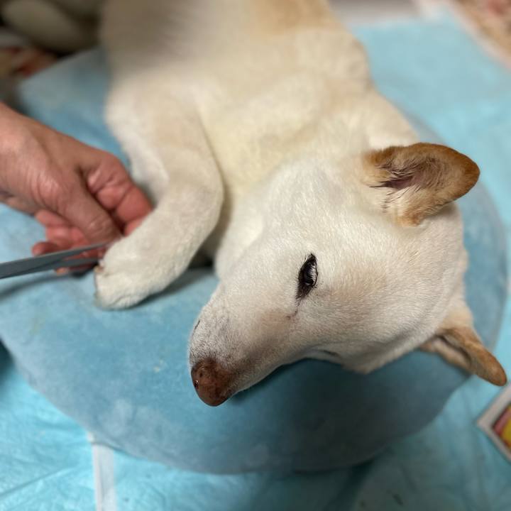 3b865c05 7004 45cb a2ac 5dff523999e1 1647703585960