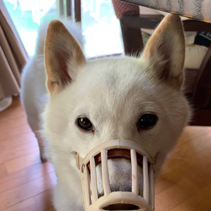 3b86ab76 24b2 4ea4 8a60 9594096797d6 1561671902494