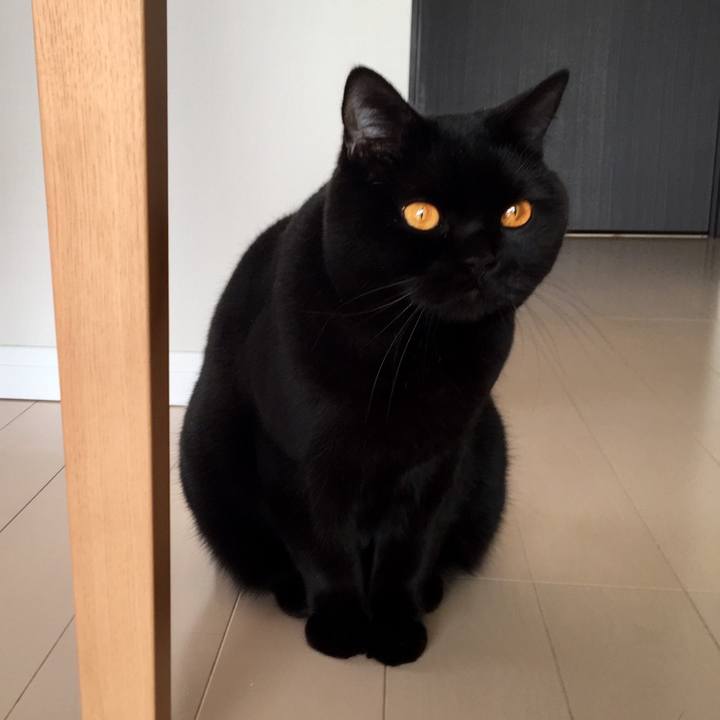 3b86bc11 5db4 48cd ac4e e6f0f007db0c 1519558798395