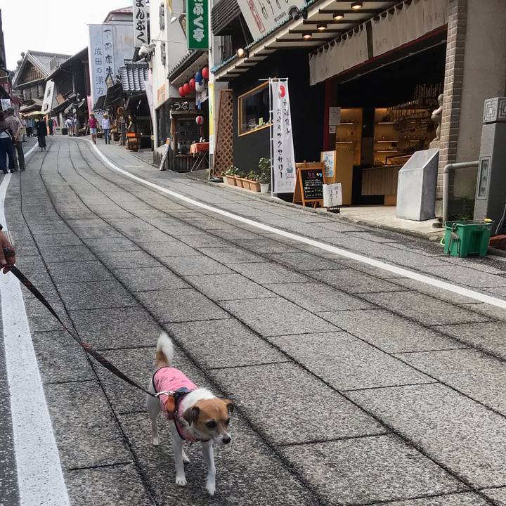 3b86d25f ff6b 45c4 88e3 5a2b22a154f3 1538809144576