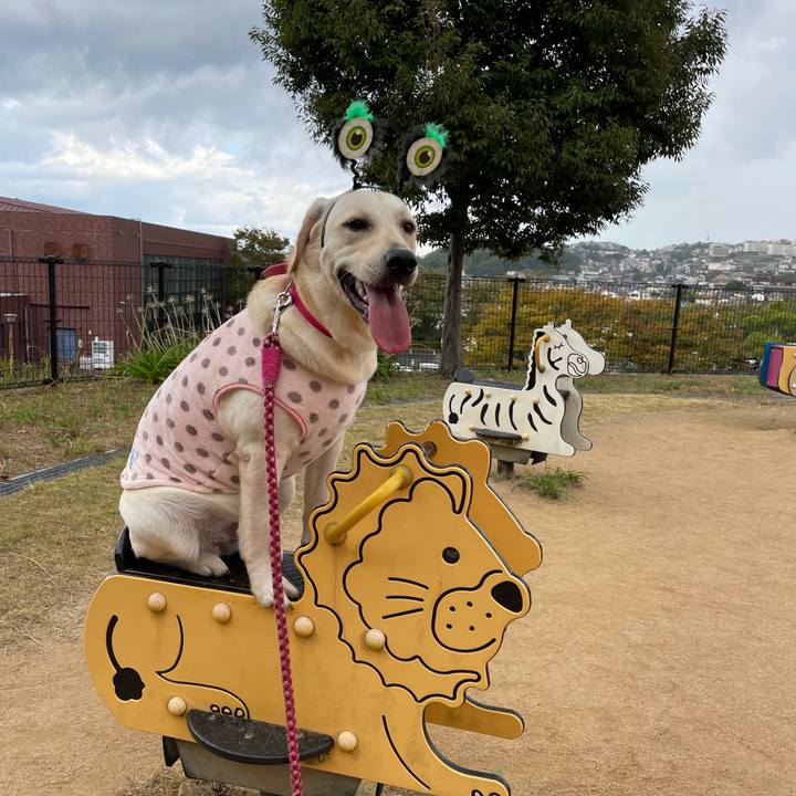 3b86e768 8749 49c1 af58 44af157c6c99 1634983981701