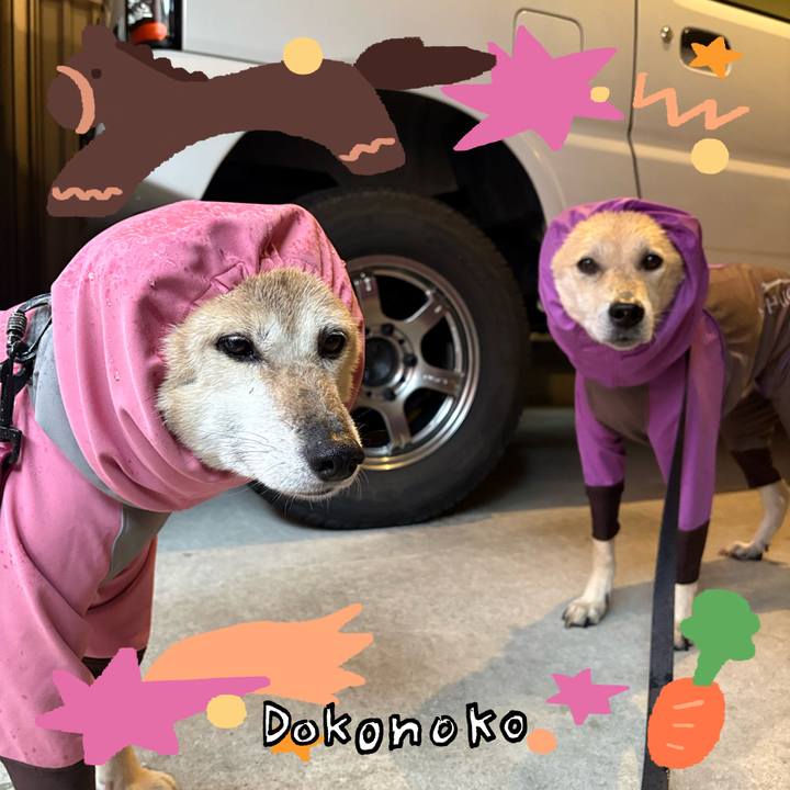 3b86f95f d4bf 477c 80ac 5cf176140abd 1771999229871