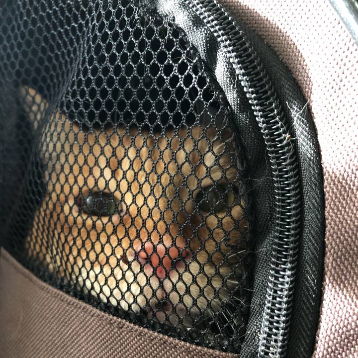 3b875287 9605 4f77 b124 2d29cf522d9a 1606006575216