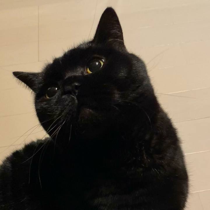 3b876507 13b7 43b0 a2cc a70e1c322706 1705231533109