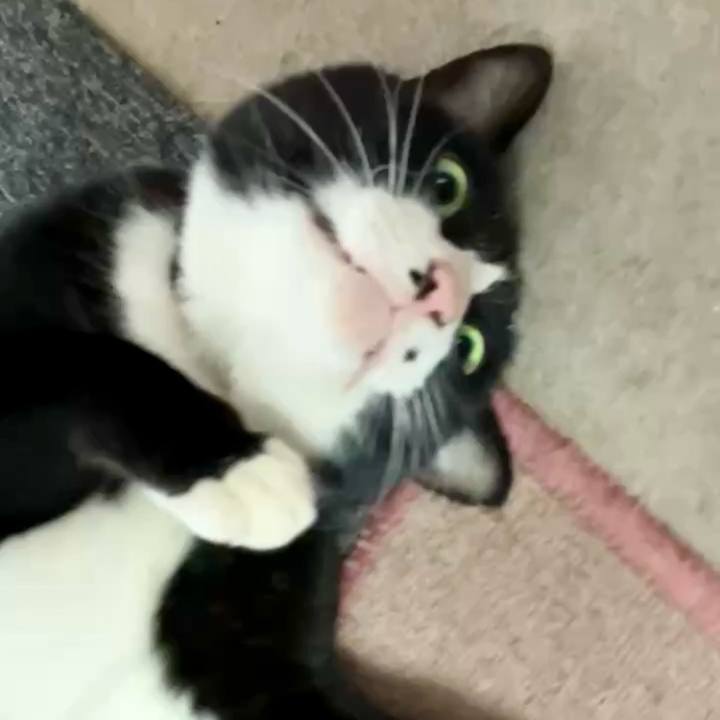 3b876555 f593 4290 a290 9a101a1e28e3 1733369754557