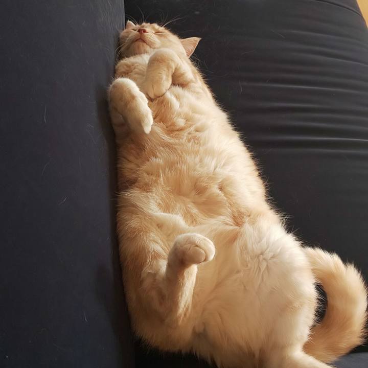 3b876c53 3d54 4979 b999 75ac8c6a04ea 1539835445053