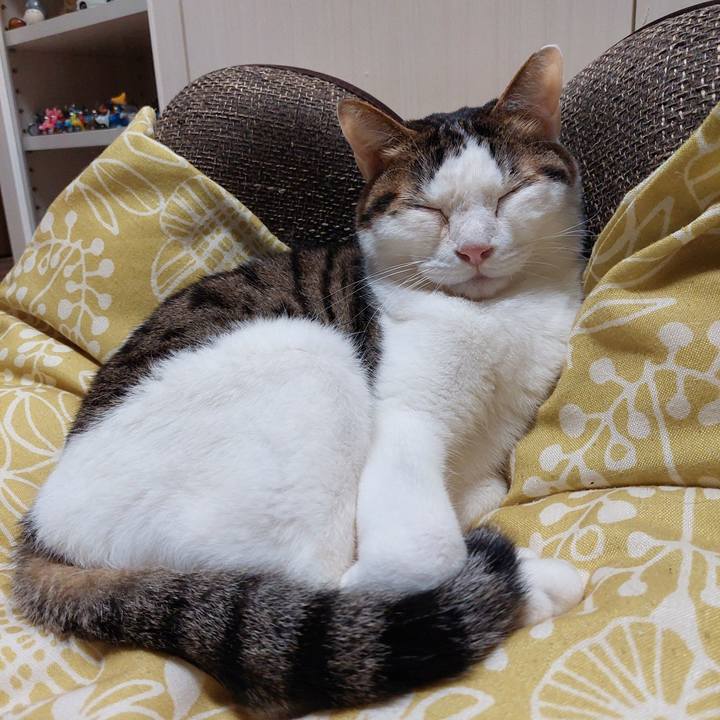 3b877fc8 40af 45c2 9399 dbdab102cf5d 1721124790569