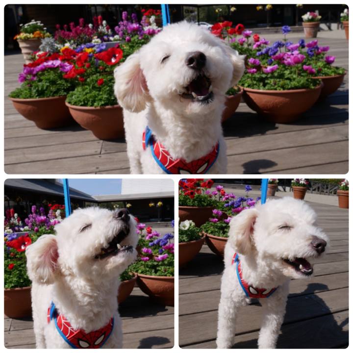 3b879e6c d150 4e12 97a7 f768128c8bbb 1521423041885