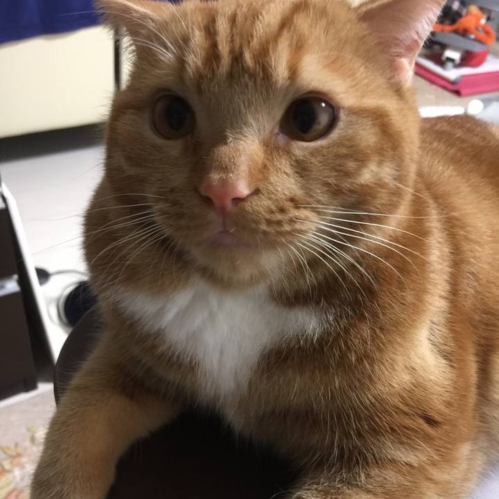 3b87ddaf 9225 4a82 9210 548bb684c890 1509017736671