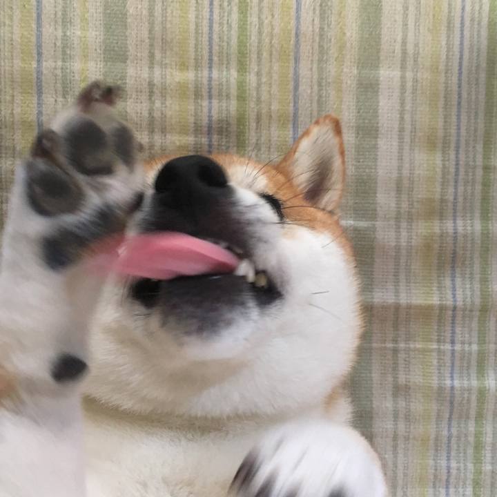 3b87de51 6776 4f88 805f 6c78555dd698 1537591546830