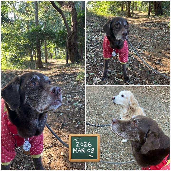 3b87e241 4a8b 45e5 b4d3 24fda37f3371 1773108704037