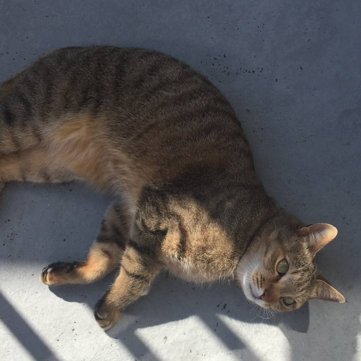 3b8821ba b5b1 49e5 92d6 346097ea9726 1518316630941