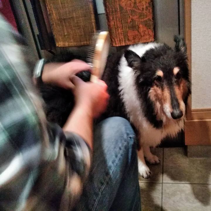 3b883ad0 eb97 4d3c 93a1 af70a37b2dd3 1555851654974