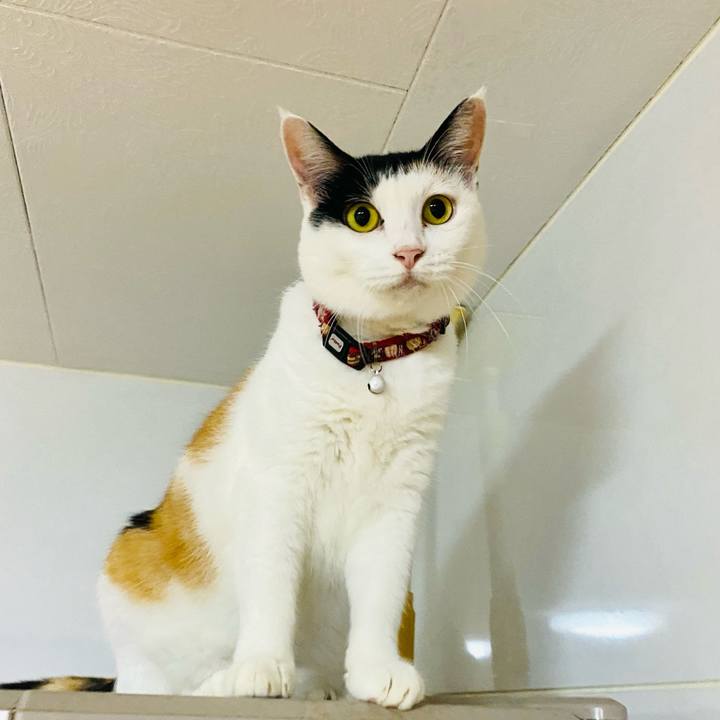 3b884810 eab6 40fe 9673 c37963364c6b 1663363241504