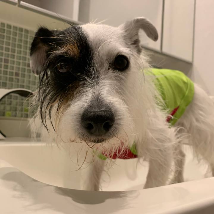 3b884aee 7f7f 4936 811c 040865422df3 1688170218860