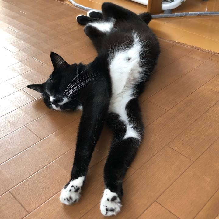 3b885995 c688 4c6d 82e0 66c81c5ff17b 1632886846600