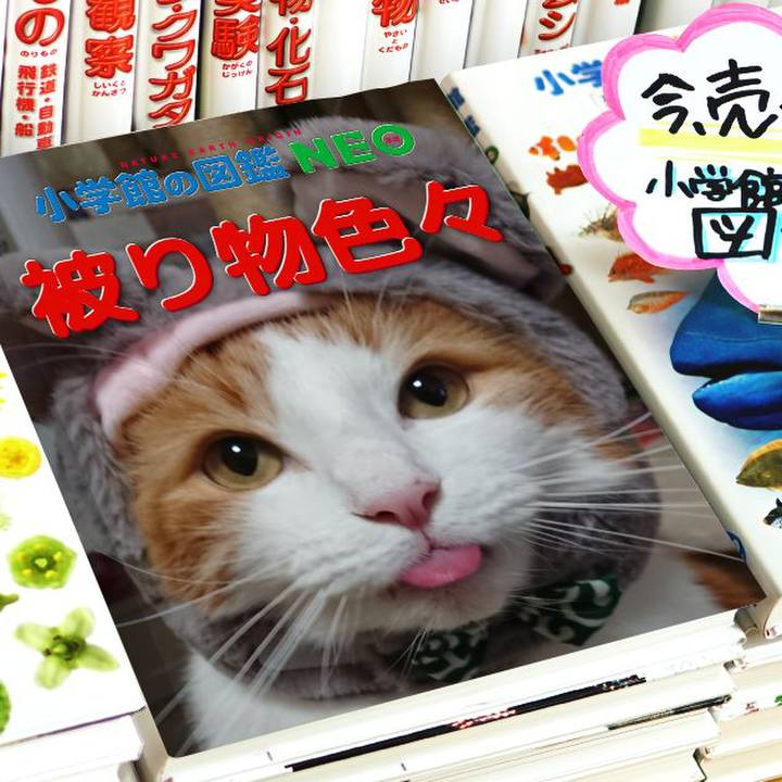 3b8884e8 d5c8 4c20 a506 4a6dcfe0b6ce 1578627510995