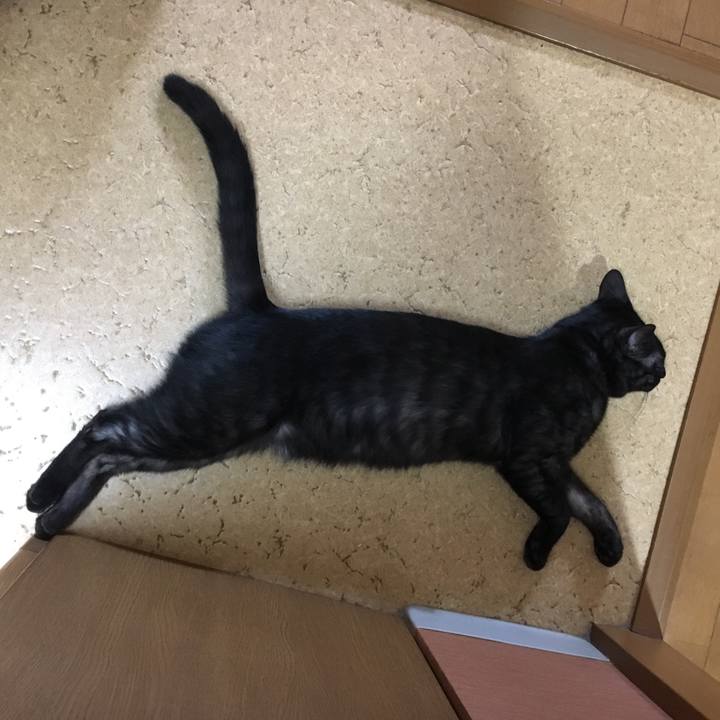 3b889153 0a32 42e8 a3a9 fecc176b41cc 1552779933519