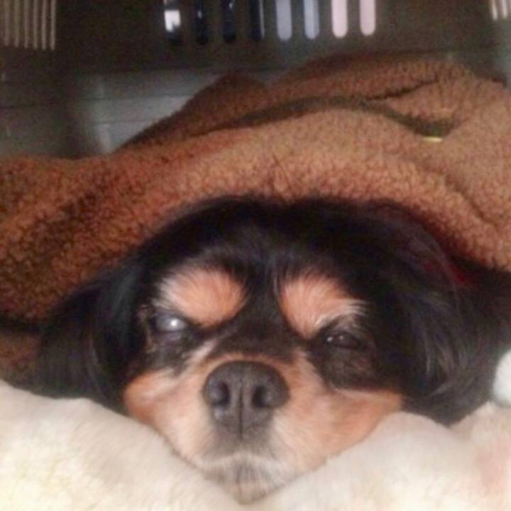 3b889bc3 783d 44cb b19b 72612d219040 1572355536814