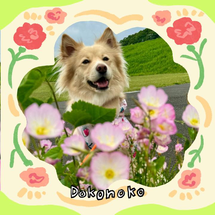3b88ab39 580c 49ce bd29 7c30bc3430e8 1715055065566