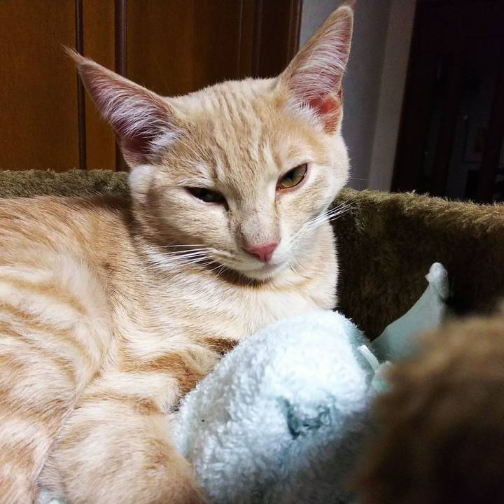 3b88b5fd 3cbe 4b8d 97c6 2831a6d4a506 1543738271616