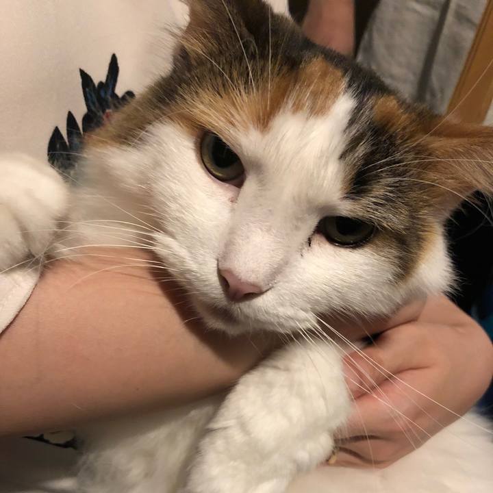 3b890594 7e0d 4173 a060 5595fab5907e 1567385873453