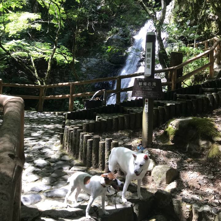 3b8969f9 dd3a 45e0 8a60 c9177fe8eb6c 1534936813961