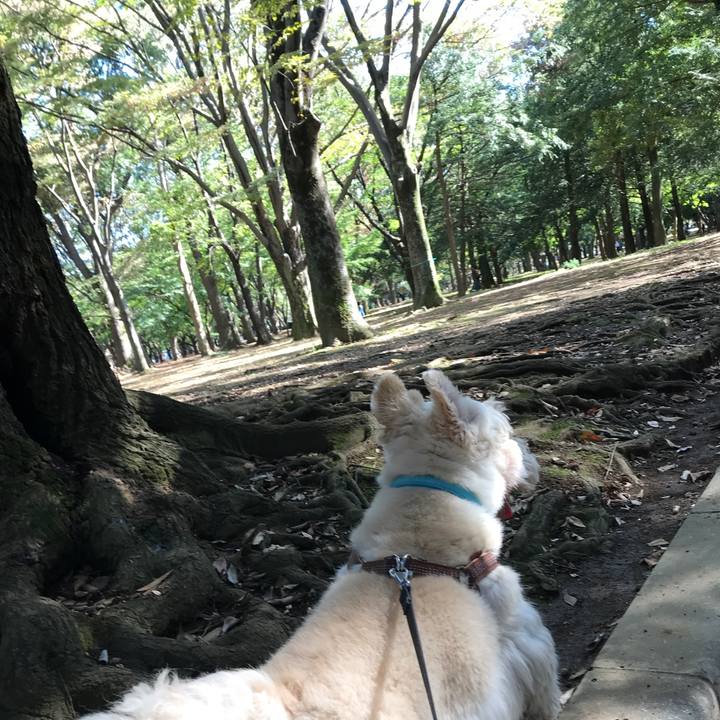 3b899d5e c015 4d95 baa2 c32eb5c9fc36 1540105346182