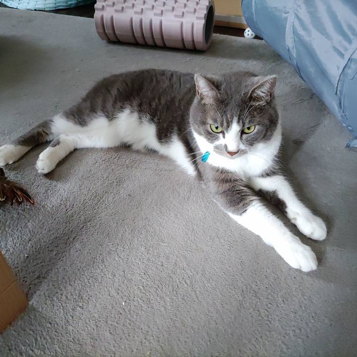 3b89f96e 5708 4359 b54e dcbbf726ef7f 1725068760429