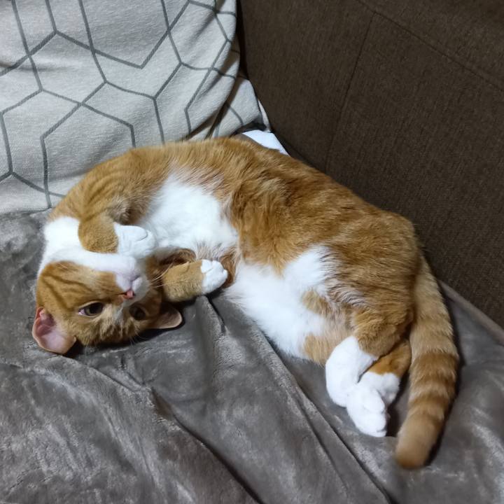 3b89fb72 dd86 4c57 9157 0d165d189d1e 1732278842313