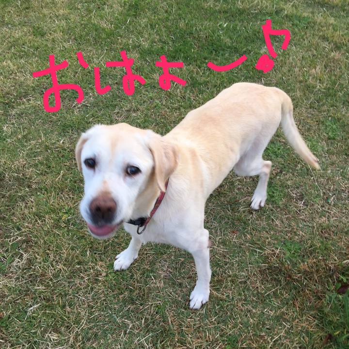 3b8a1372 fecc 41a1 89a8 85d3b4005519 1509573788505